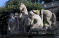 /album/sochy-konu/a45-dobrf-20-jpg/
